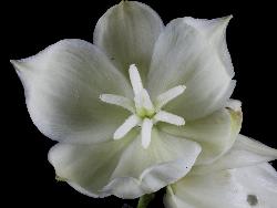 © Landcare Research 2012 